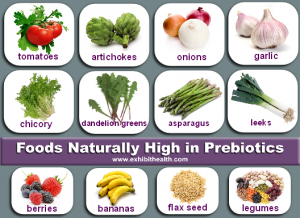 foods-high-in-prebiotics[1]